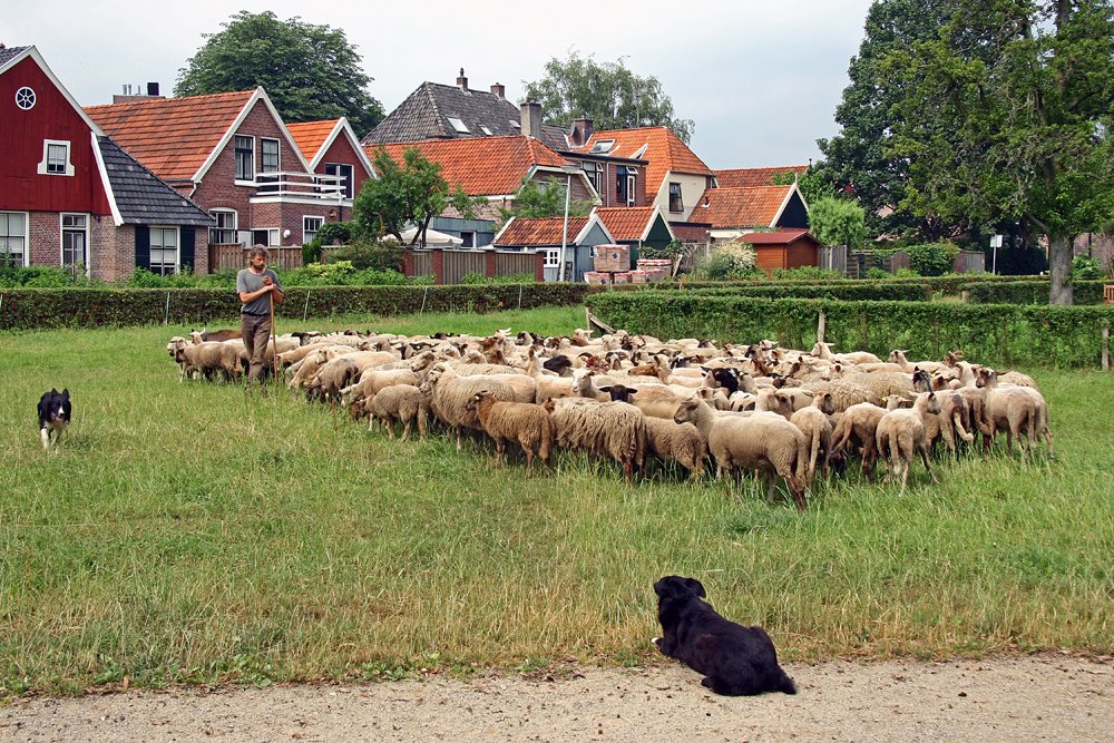 View on the oldest part of Winterswijk by christewinkel