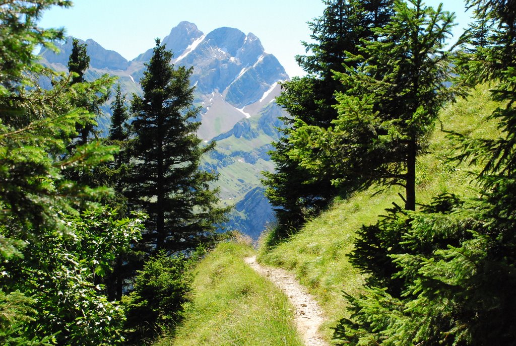 Auf dem Weg zur Altenalp by Johann Kölbener