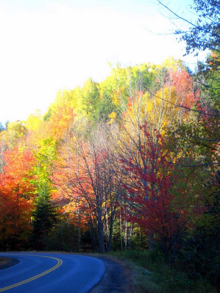 Autumn Drive by Joe Price