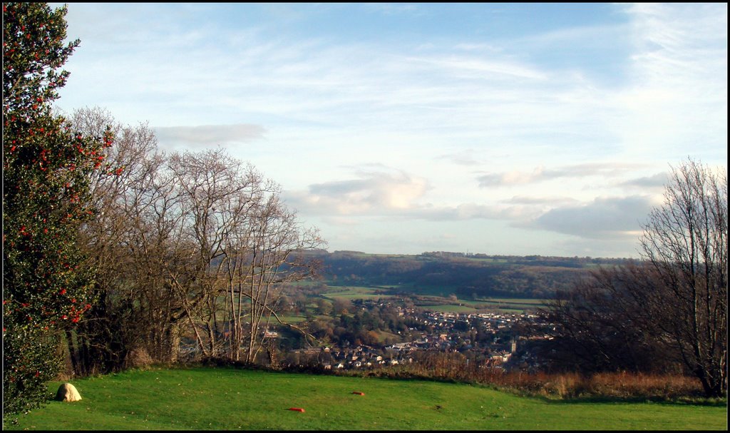 Stinchcombe Hill by John Stump