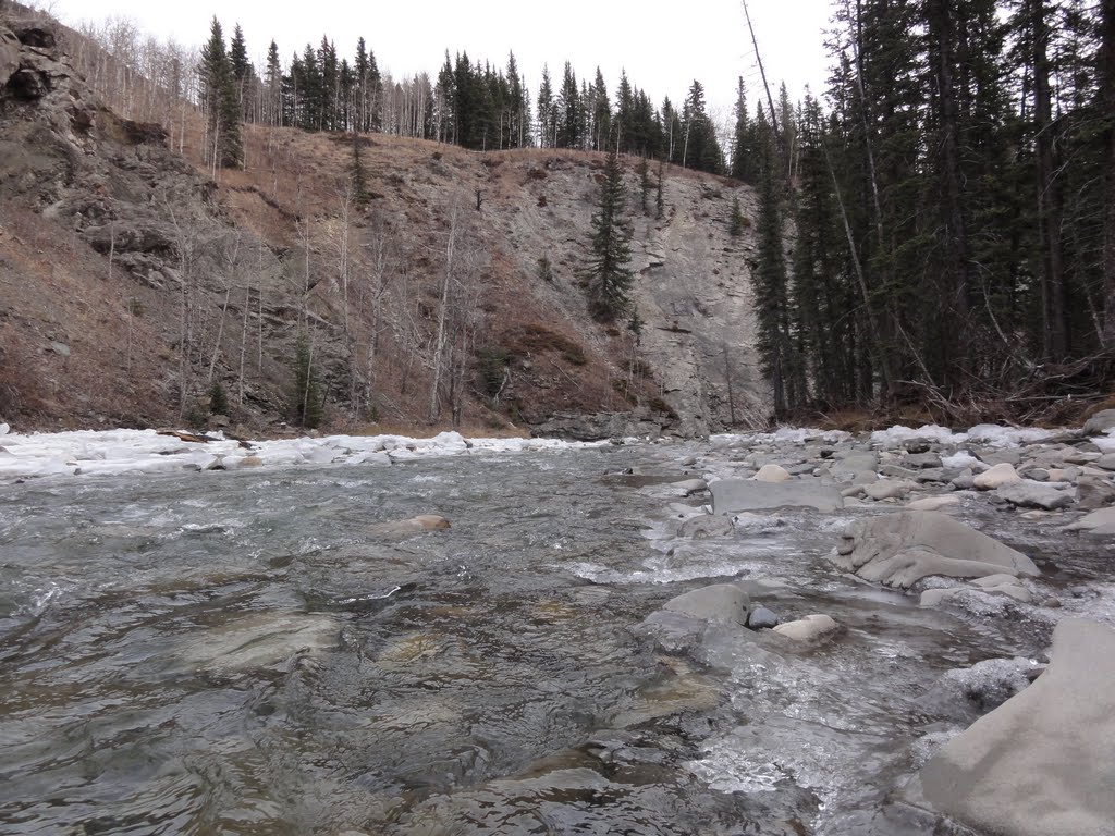 Crystal claen water in Waiparous Creek, 2011. by Tony Sterl