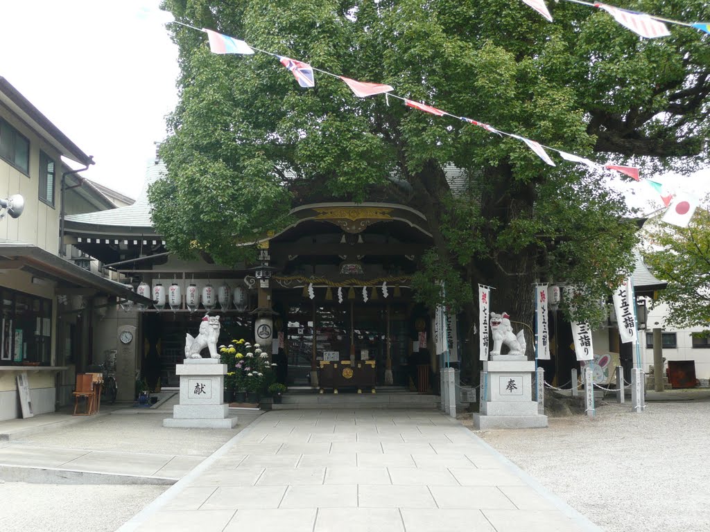 Ishizu shrine（石津神社　拝殿） by konigan