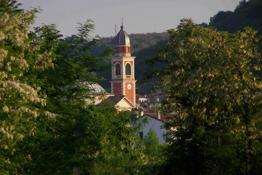 PRIMAVERA AD ALONTE by Giorgio Toscan