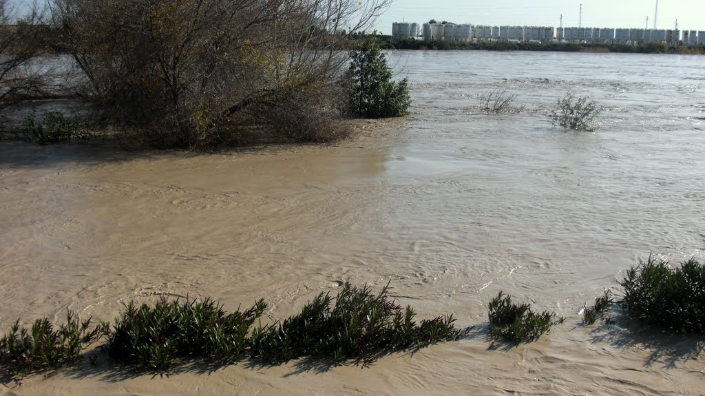 Avenida del río Guadalquivir, Alcalá del Río 2010 by PepeTenorio