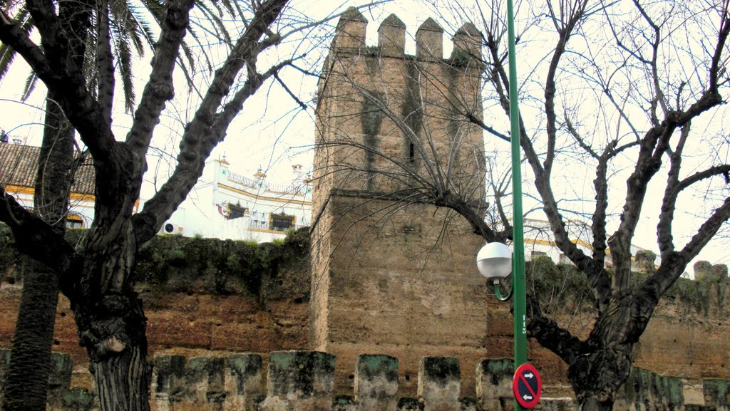 Torre de la muralla almohade, Sevilla 2011 by PepeTenorio