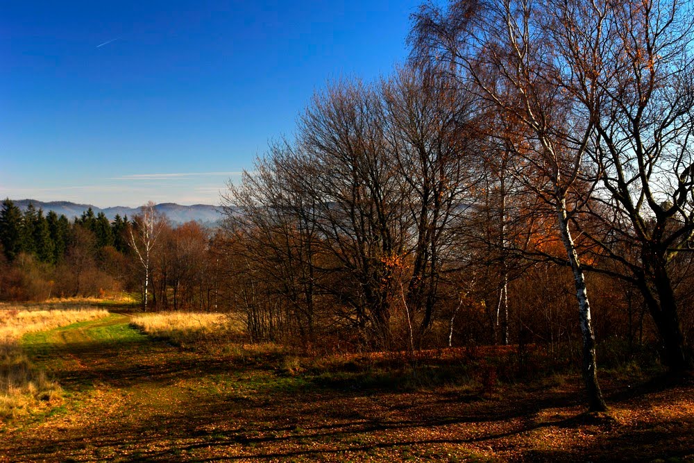 Widok z Góry Wszystkich Świętych by andrzej_włodarczyk