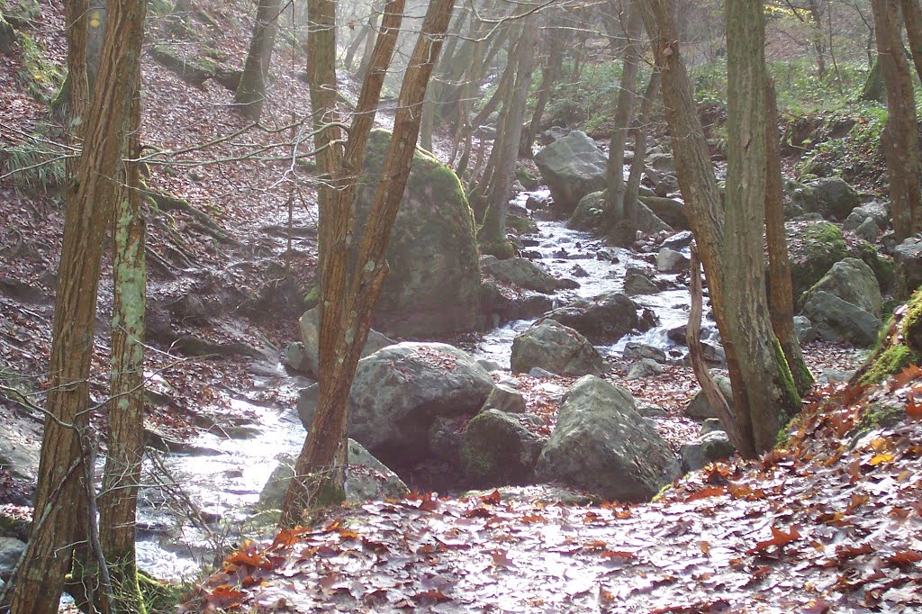 Ninglingspo, Ardennen by ahdegroot