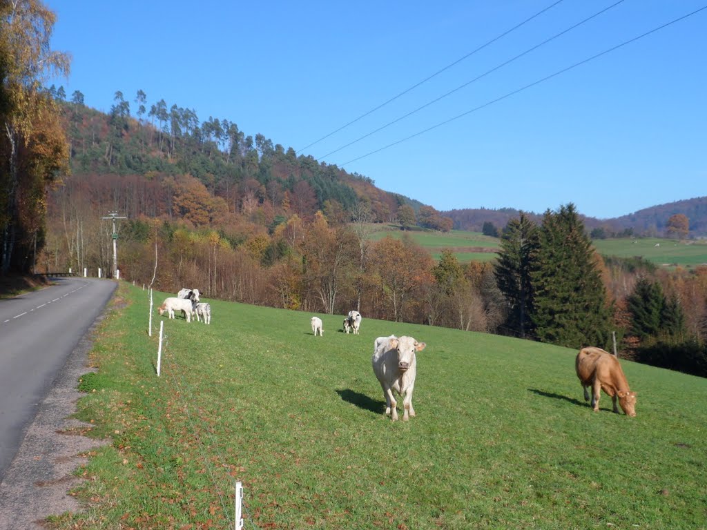 Ruralité automnale by Mauriennelux