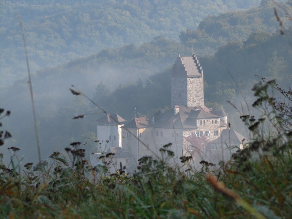 Burg im Dunst by Robbystum.