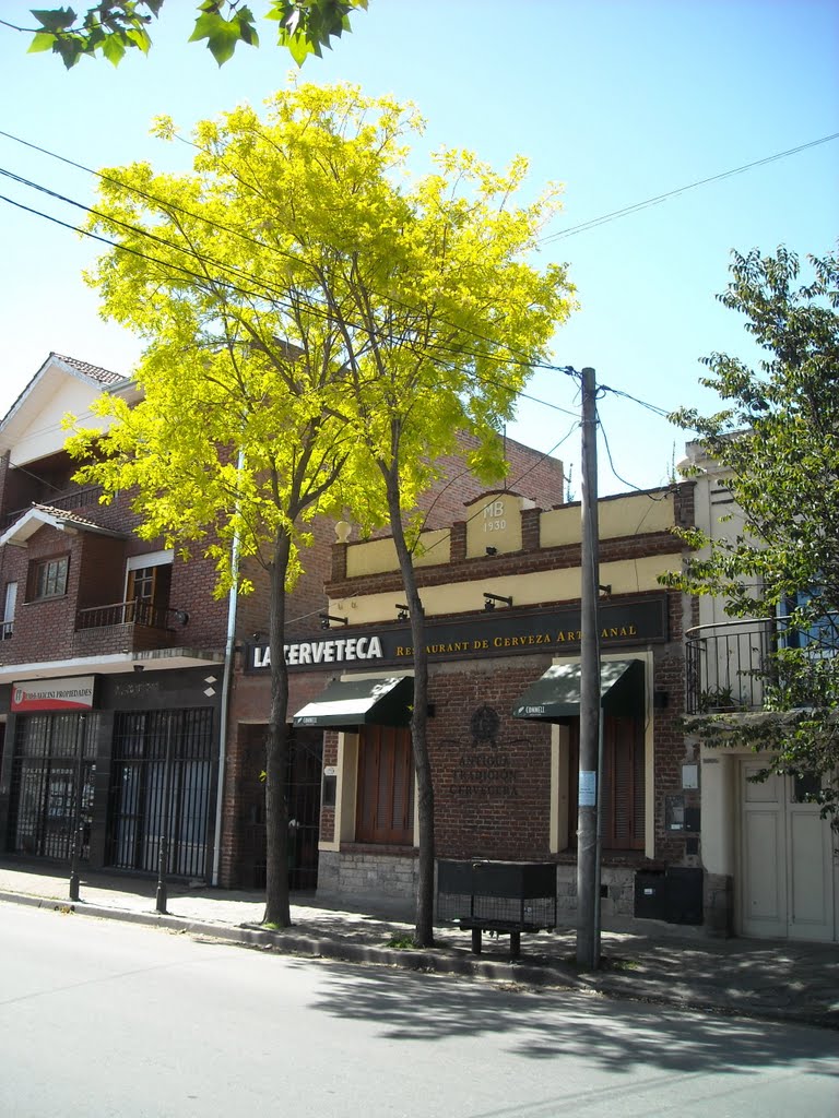 Árbol en Avellaneda entre Córdoba y San Luis by Matha Burroughs