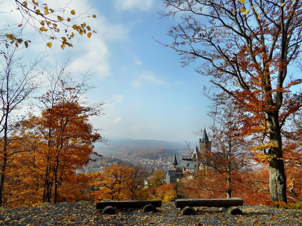 WERNIGERODE - HARZ - GERMANY by A. DREXLER - Germany -  Германия -  德国 - Alle