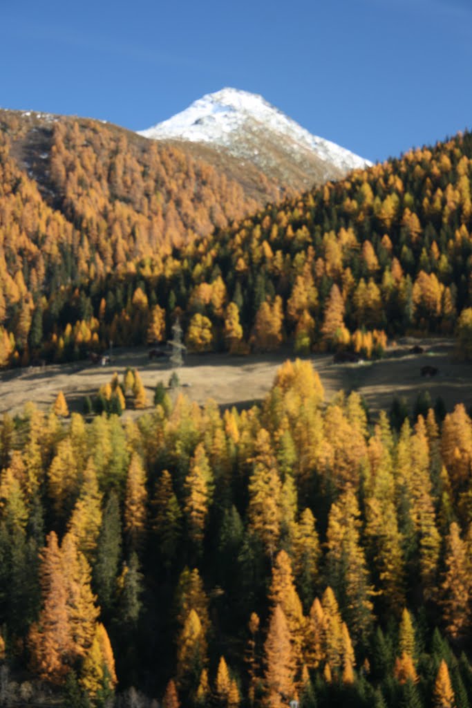 Brudelhorn im Herbst by ehrbar