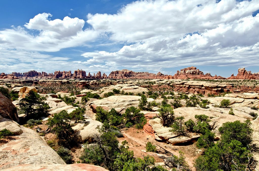 USA, Utah, Canyonland, Needles by sucurix