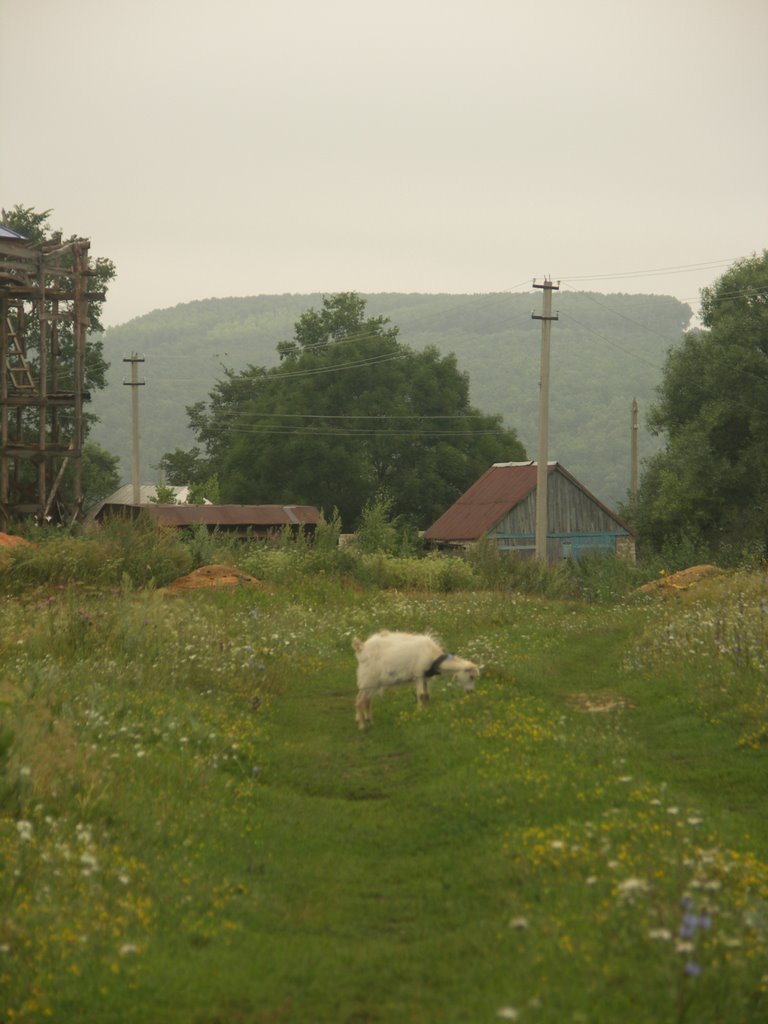 Zadonsky District, Lipetsk Oblast, Russia by iiisaev.narod.ru