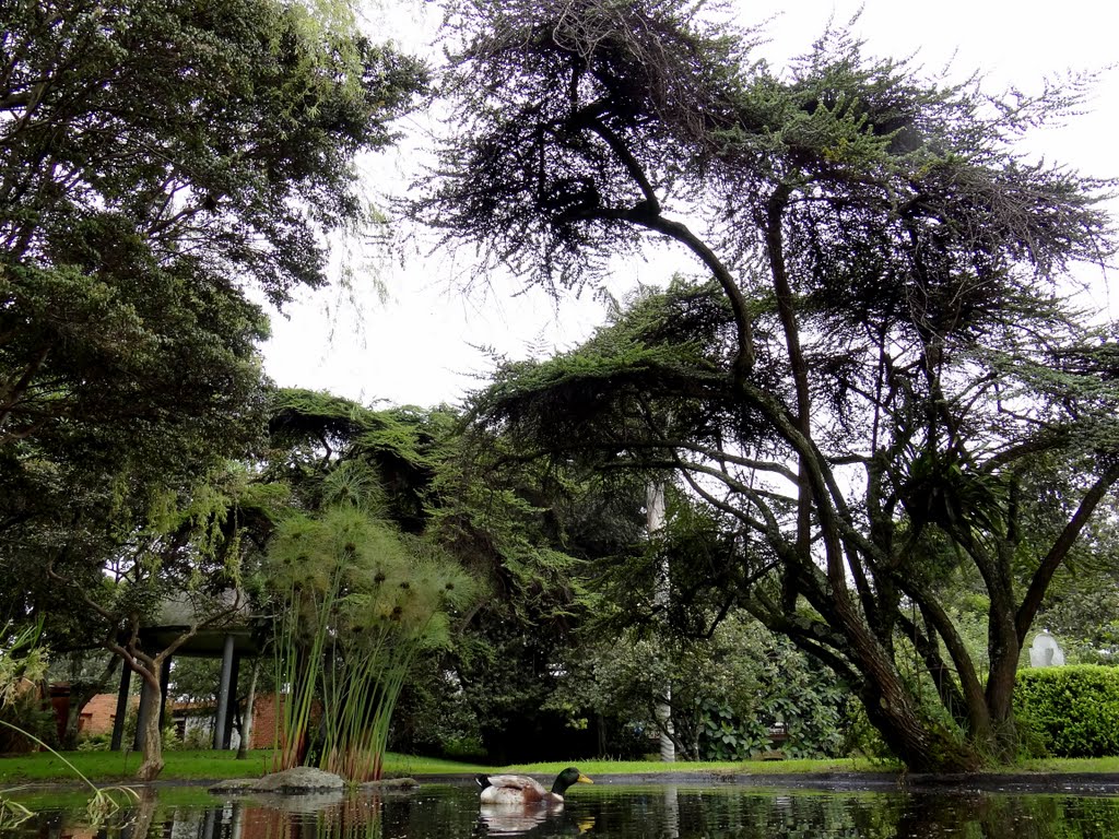 Jardín Botánico. Bogotá. by Alejandro Tibaquira