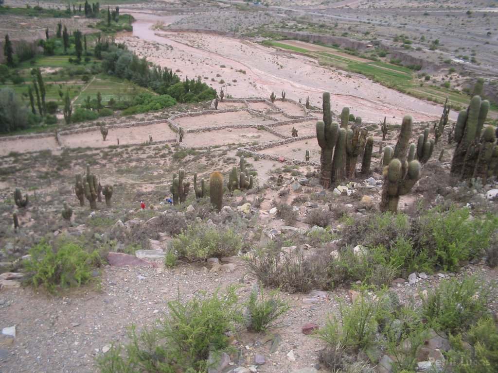 Panoramica desde el Pucara by Lucas Petiti