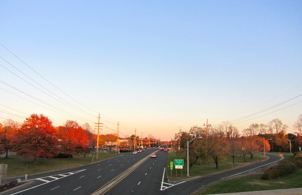 Newman Springs Road by Adam Elmquist