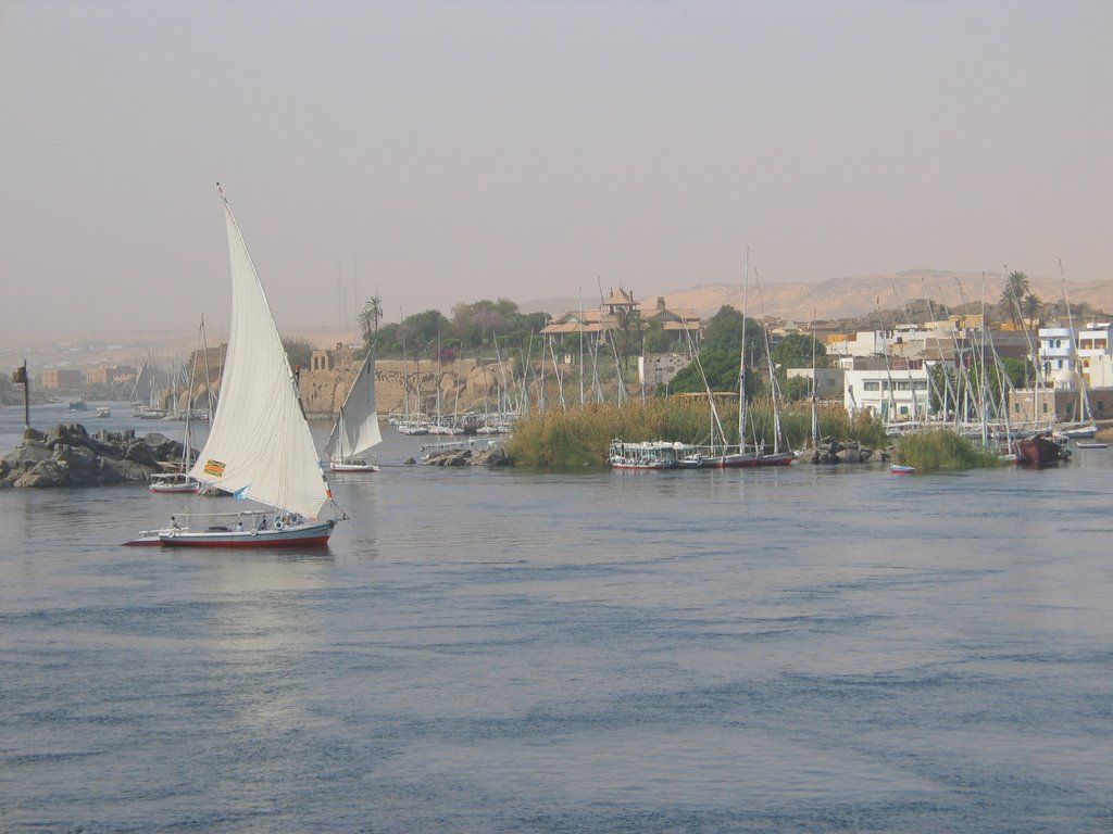 Aswan by Lucio sassi