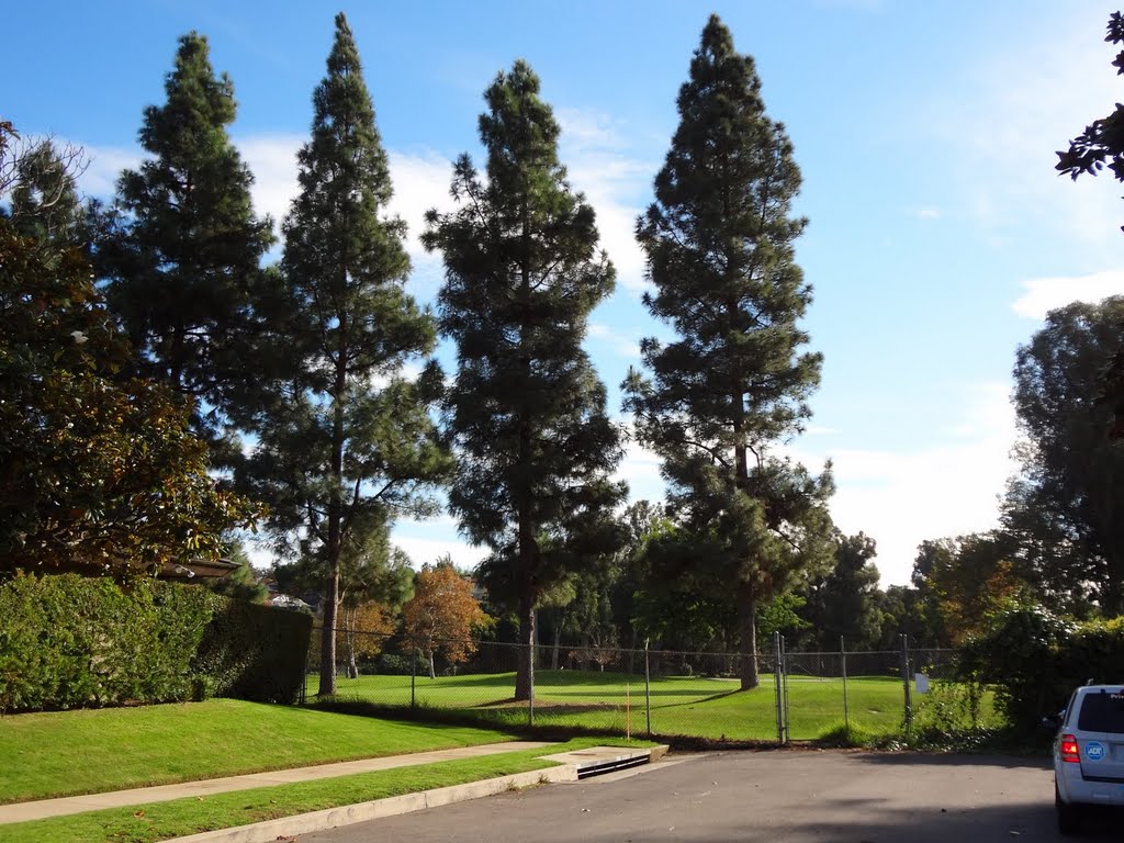 Brentwood - West LA Landscape by Alan Fogelquist