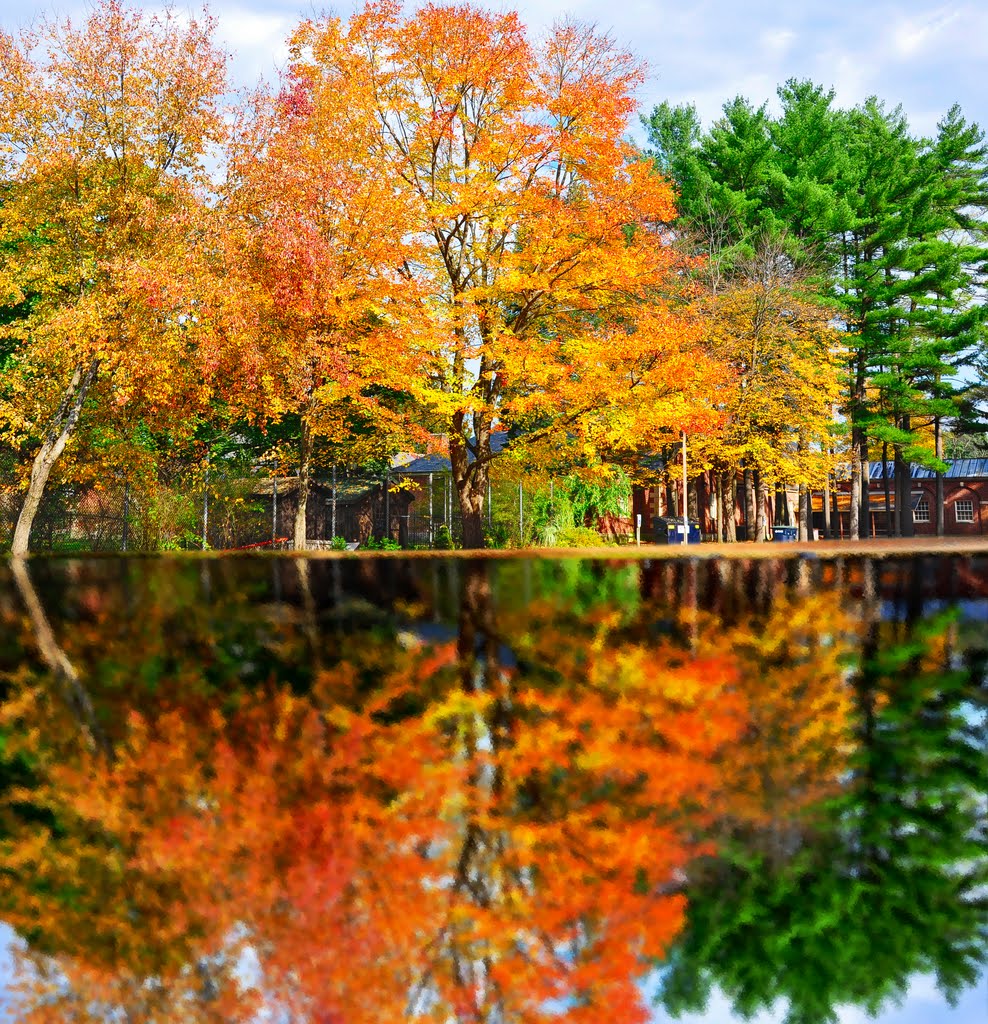 Saratoga Fall Foliage by Forego