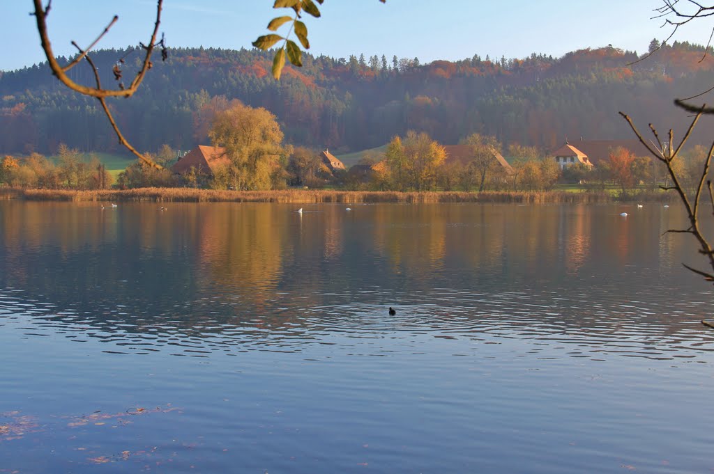 Wohlensee - Wohlei, la pace in terra by alfonso minoli