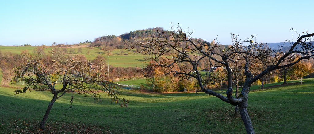 Panorama Kuppelzen 201111 by Rainer Warzecha