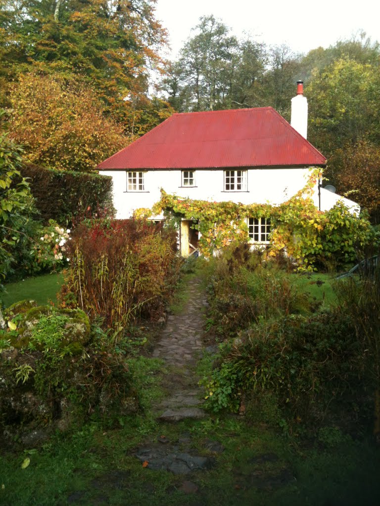 Old Cattle Drovers Cottage Dartmoor by swallowsretreat