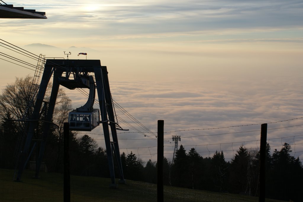 Bodensee im November Nebel by Fred Bassett