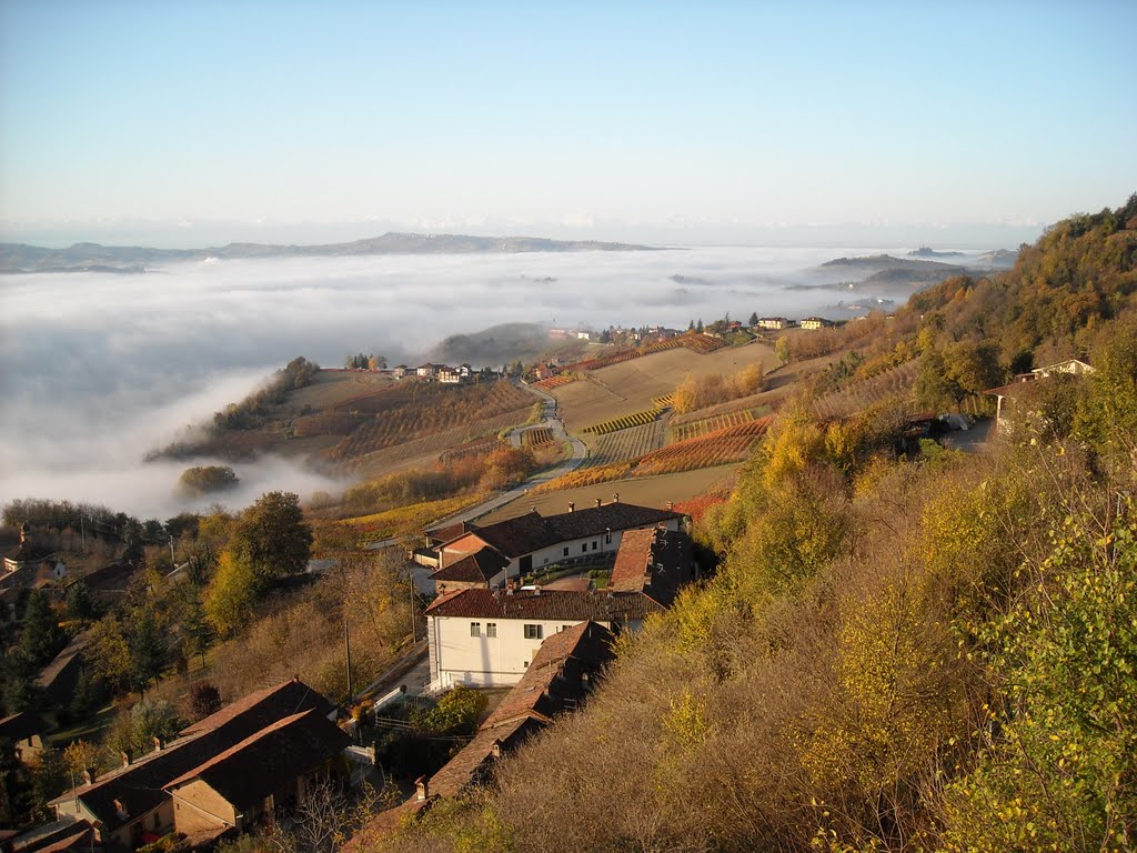 Nebbia sulla pianura albese by Diego Barile