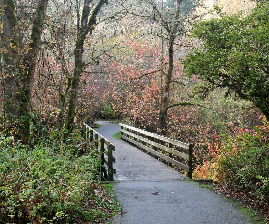 East bridge November 10 2011 Noble Woods Park by rbdal49