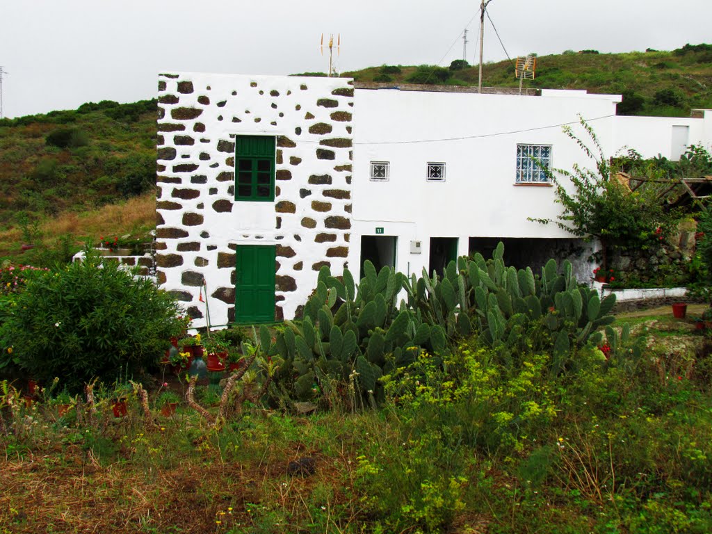 12.11.2011-En alerta por emisión volcánica en toda la isla. Erese. El Hierro. by Valentín Enrique