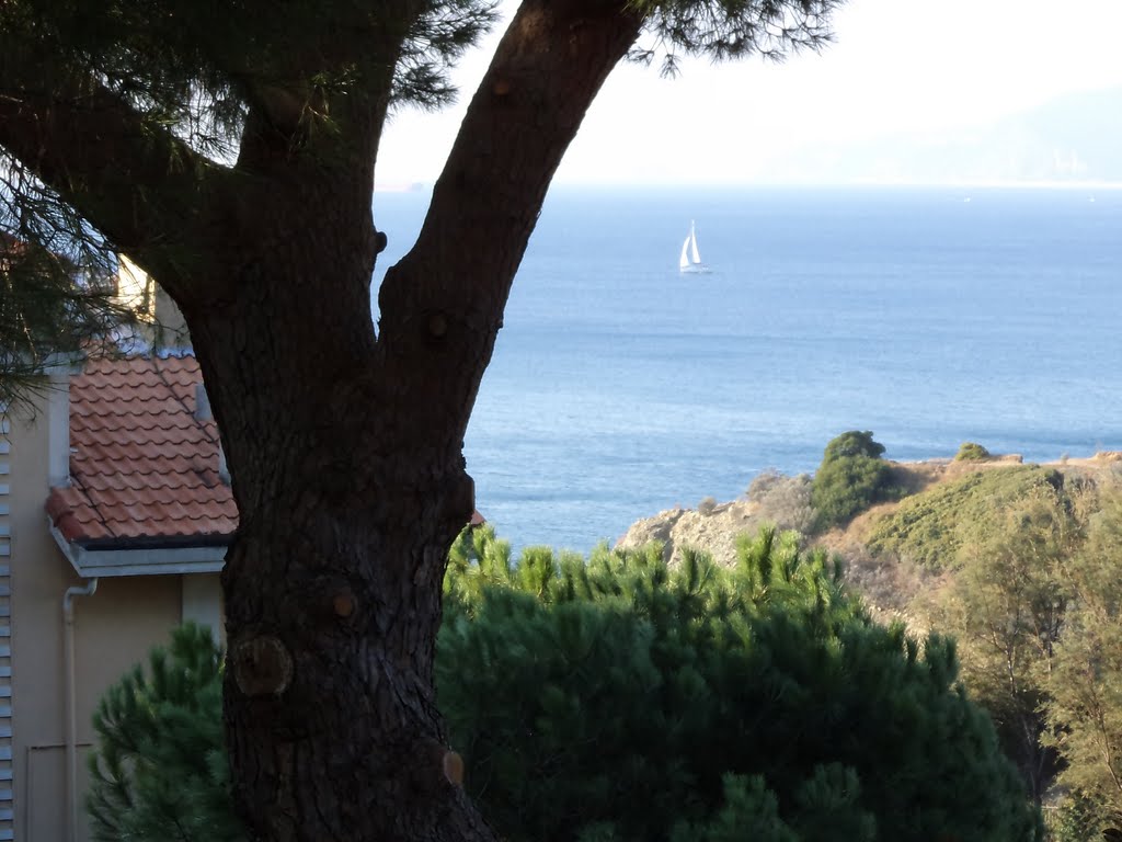 Celle Ligure : Vista sul mare. by Piacentinisen