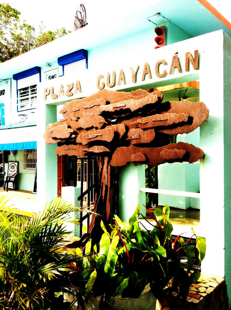 Plaza Guayacan by Eric Ascalon