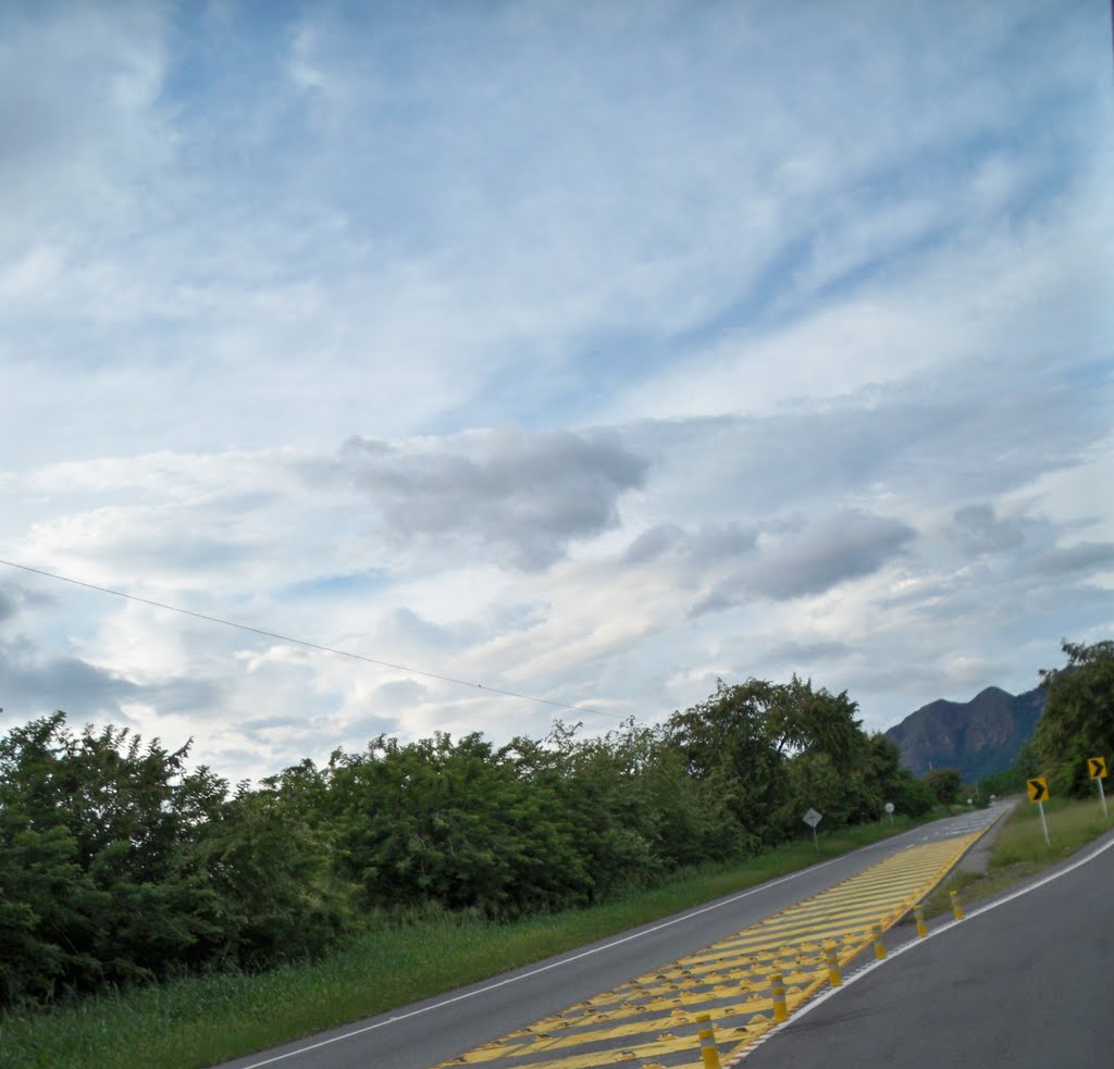 Variante chicoral, gualanday Tolima by Alexander Trujillo