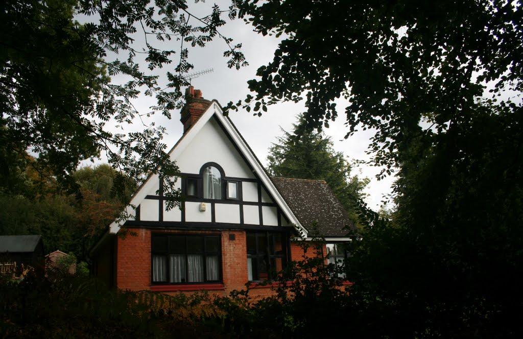 Forest Lodge, Loughton by Lee A Holmes