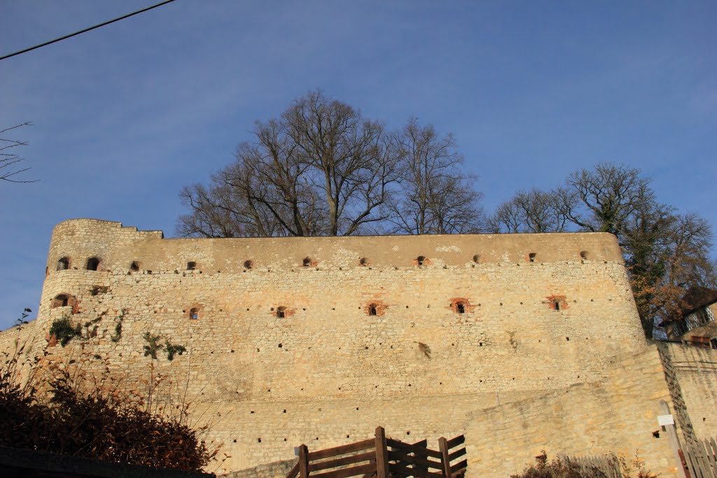 Burg Pappenheim im November- D by gregor.h