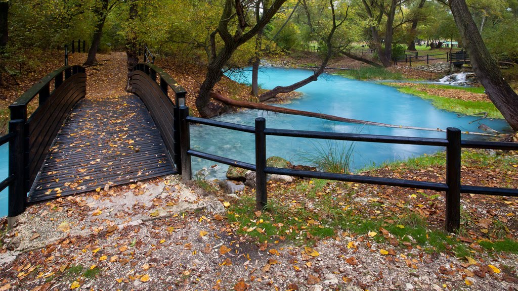 Sorgenti sulfuree del Lavinio by Baycibi (Claudio Berto)