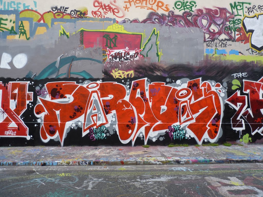 Paris - Graff Rue des Maraîchers (2011) by greg-007