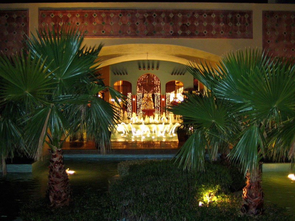 Fountains & Palm Trees-Night time at Lindo by Nikbrovnik