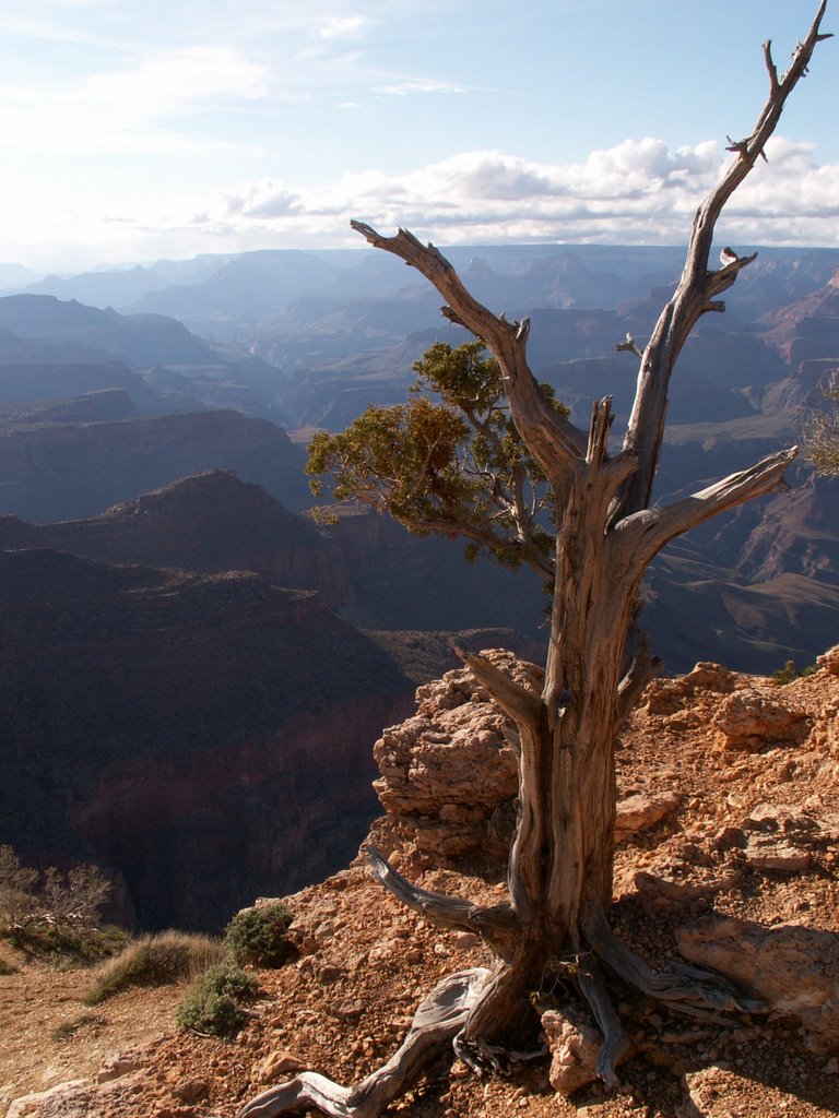 Grand Canyon 05-2005 by bell.family