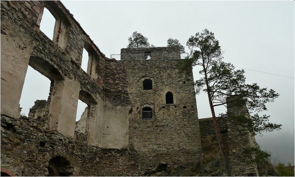 Ruine Dobra im Kamptal by Steidl Normann