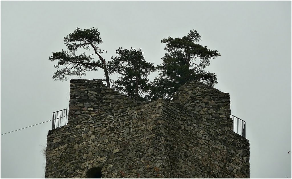 Bergfried Ruine Dobra by Steidl Normann