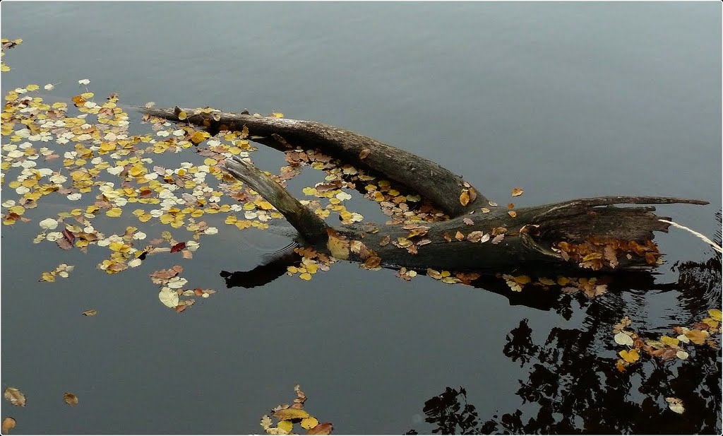 Herbststimmung Dobrastausee by Steidl Normann