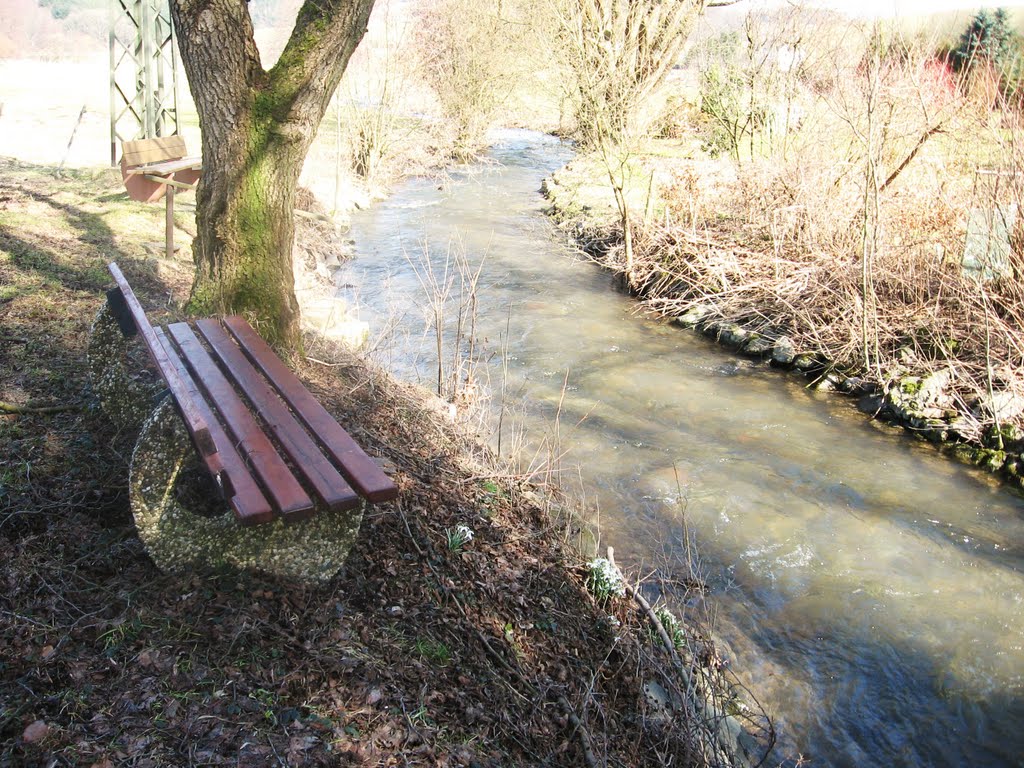 Bank am Stadtgraben in Allendorf ... by eichhörnchen