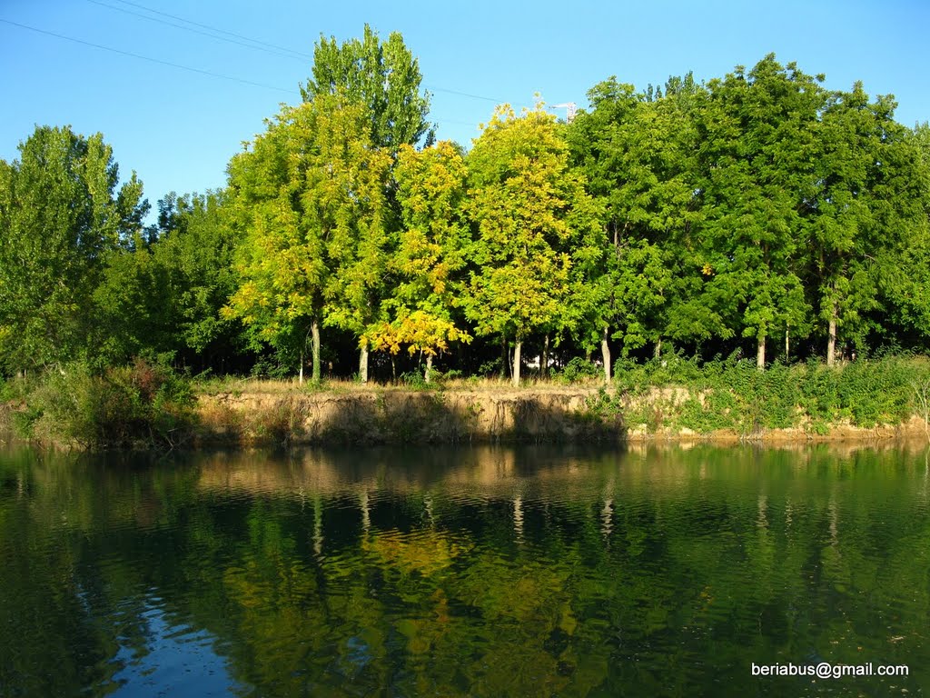 Fiume Bacchiglione by RobertoBeria