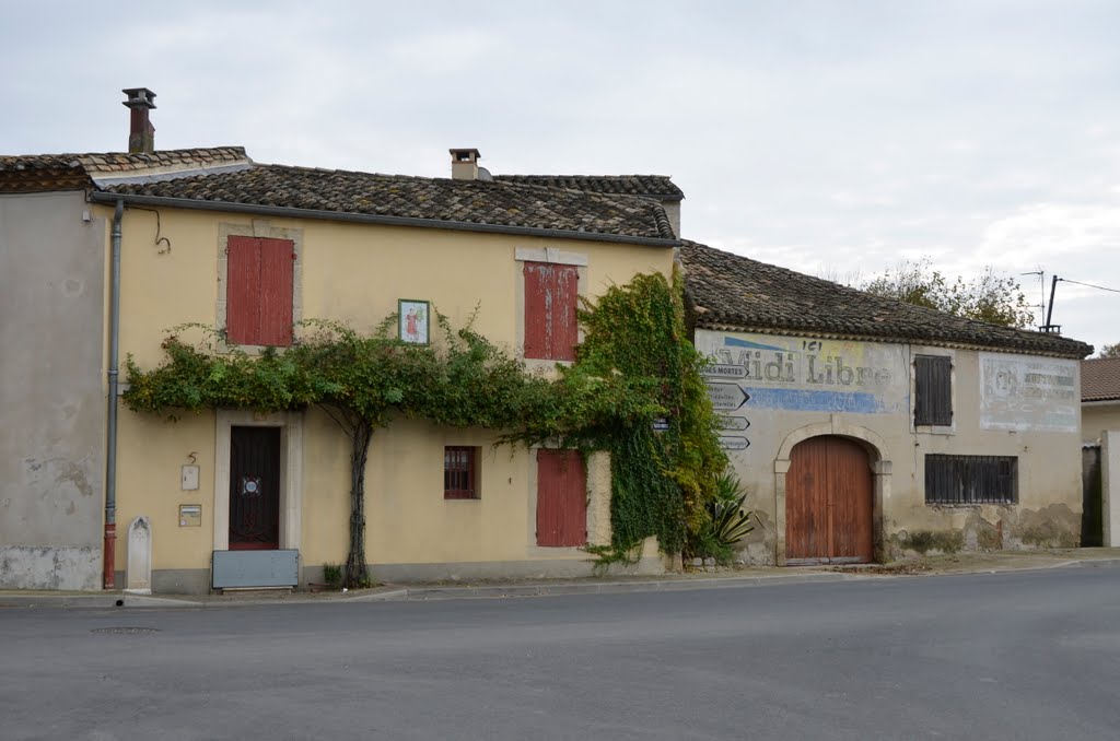 [Languedoc-Roussillon] Saint Laurent d'Aigouze 12.11.2011 France by RoschM