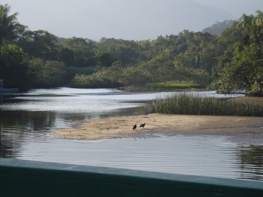 BARRA DO UNA - MUNICIPALITY OF SÃO SEBASTIÃO - STATE OF SÃO PAULO - BRASIL - SOUTH AMERICA by Ana F. S. Galvão