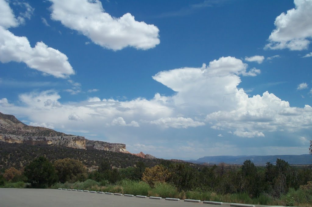 Area near Echo Ampitheater, Carson National Forest, NM by rarobbins3365