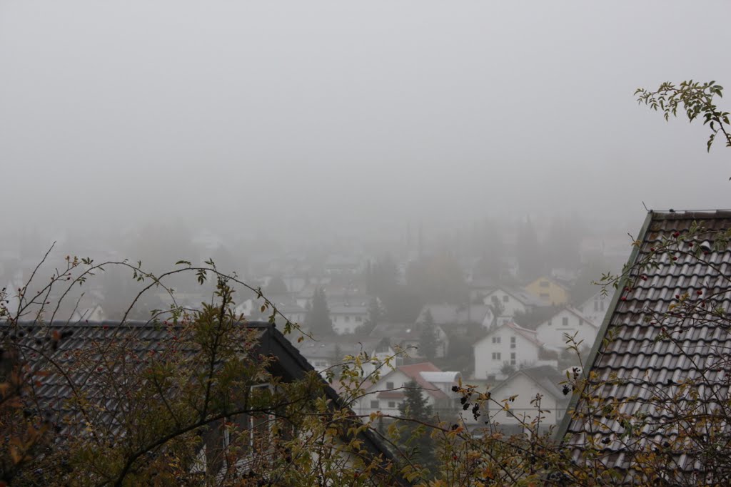 Nebel in Ostelsheim 8 by S.Griesbach