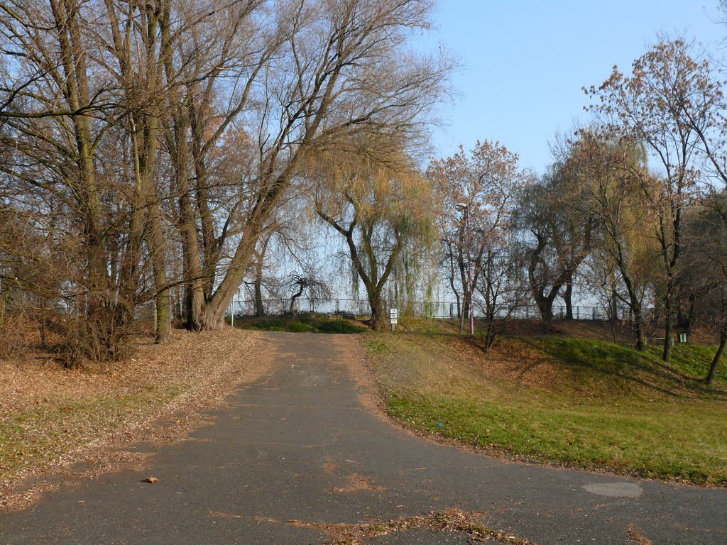 Czeladź, Park Grabek by Osaaco